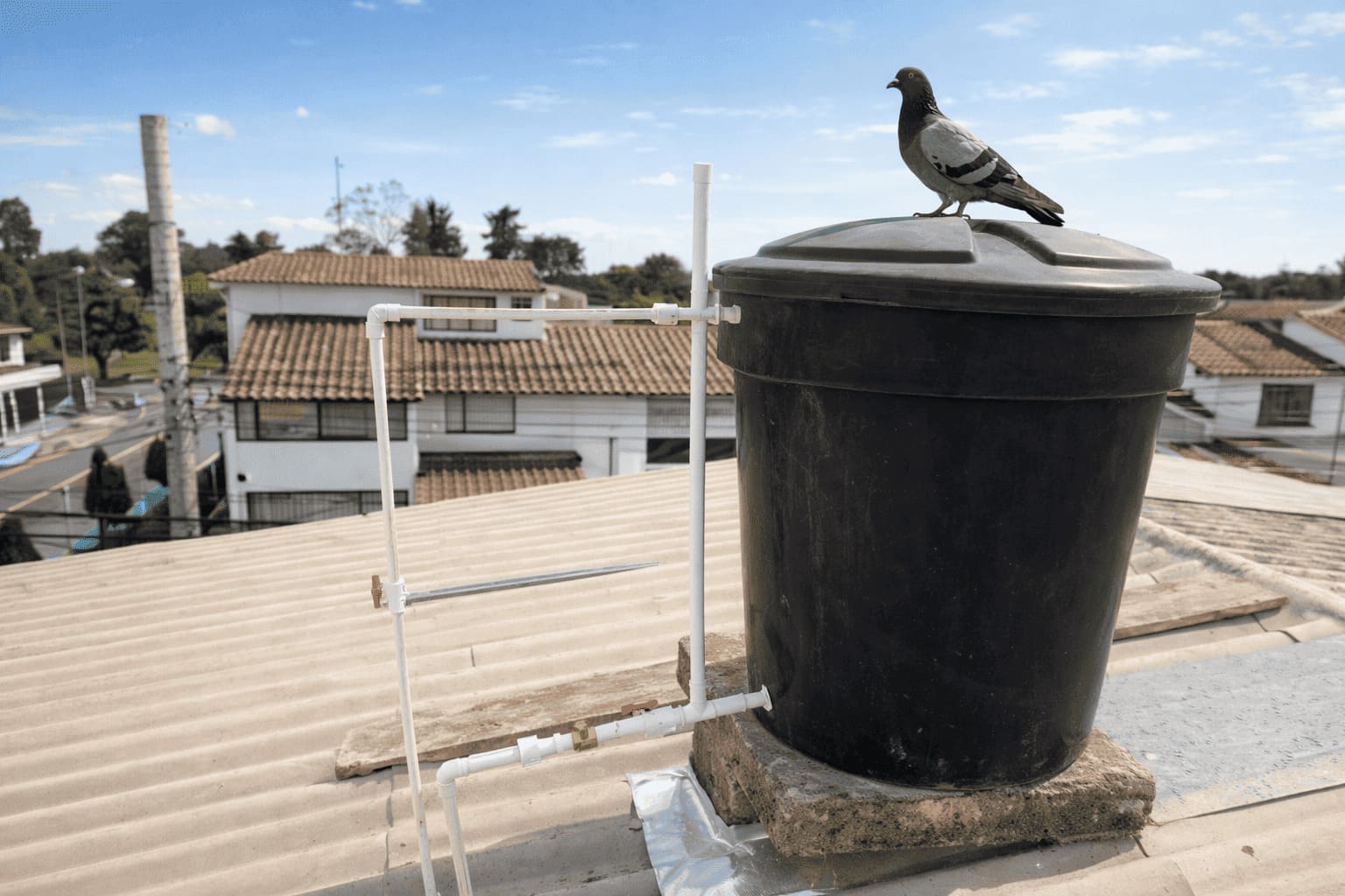 Bogota tejado agua